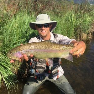 Meet your Posher, Zach